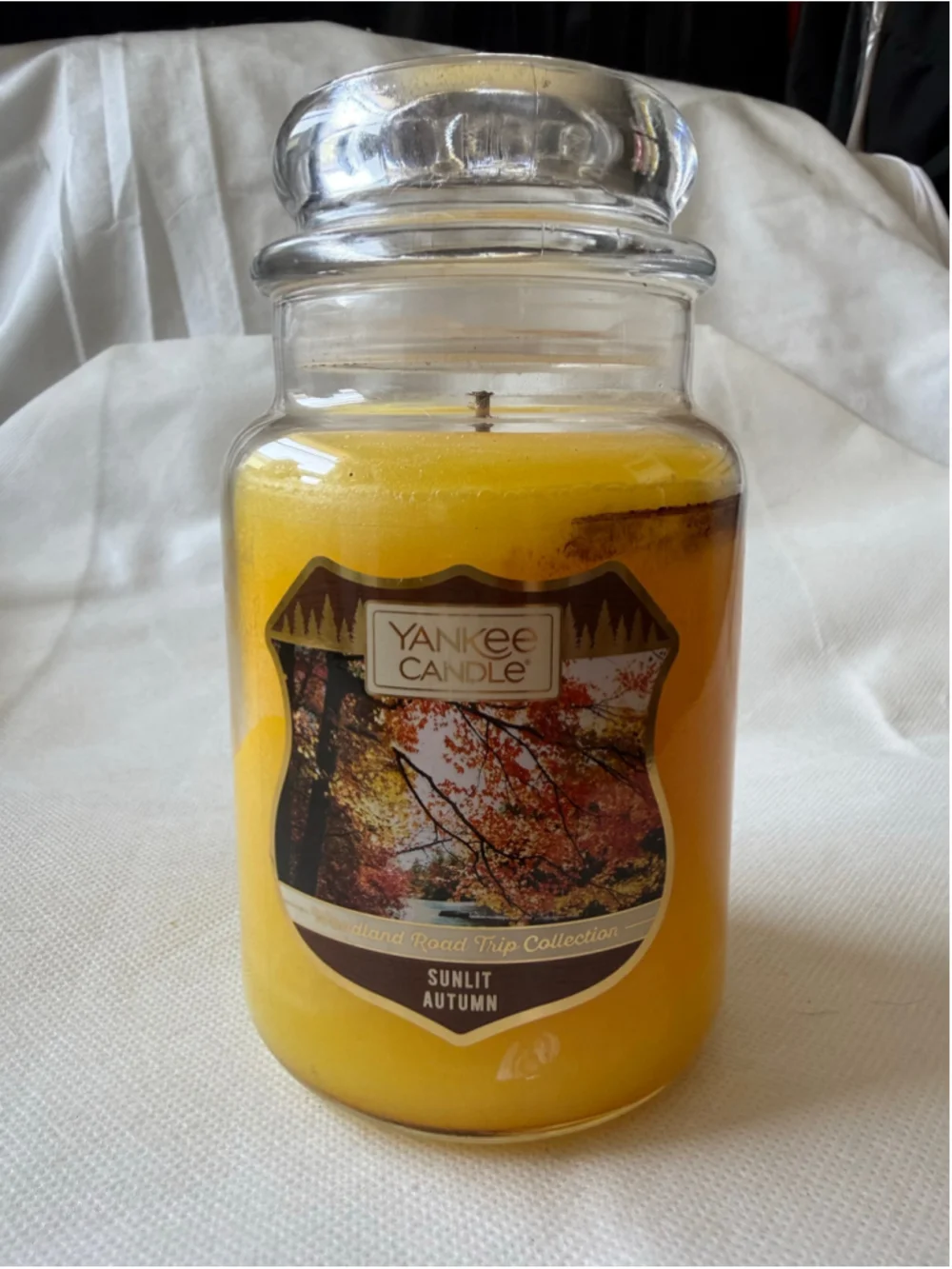 NEW Yankee Candle Large Jar 22 oz Woodland Road Trip SUNLIT AUTUMN *READ